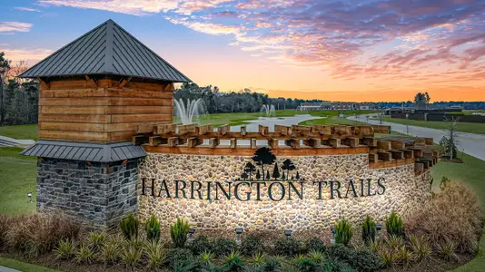 Harrington Trails at The Canopies by D.R. Horton in New Caney - photo 1 1