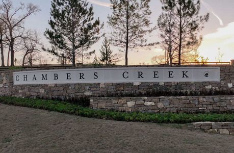 Gatherings® at Chambers Creek by Beazer Homes in Willis - photo 0 0