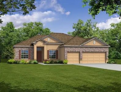 Royal Highlands by Maronda Homes in Brooksville - photo 9 9