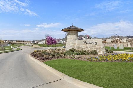 Wellspring Estates by First Texas Homes in Celina - photo 28