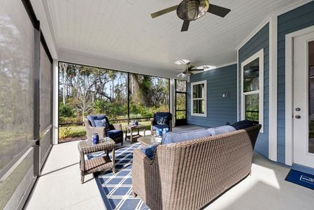 Palm Crest AT Seabrook by Providence Homes (Florida) in Nocatee - photo 10 10