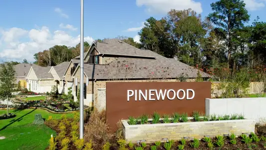 Pinewood at Grand Texas: Wildflower II Collection by Lennar in New Caney - photo 4 4