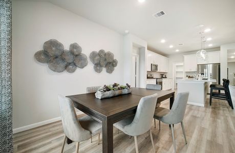 Sunterra: Founders Collection by Beazer Homes in Katy - photo 14 14