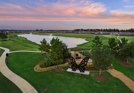 Harrington Trails by Starlight Homes in New Caney - photo 37 37