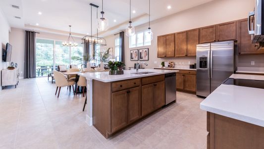 The Reserve at Victoria by Kolter Homes in Deland - photo 9 9