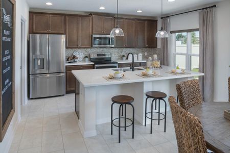 Beresford Woods by Landsea Homes in Deland - photo 26 26