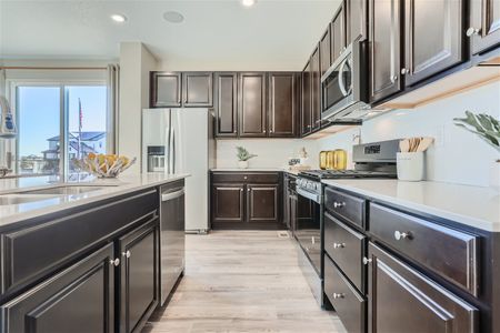 Paired Homes at Alder Creek by Century Communities in Parker - photo 17 17