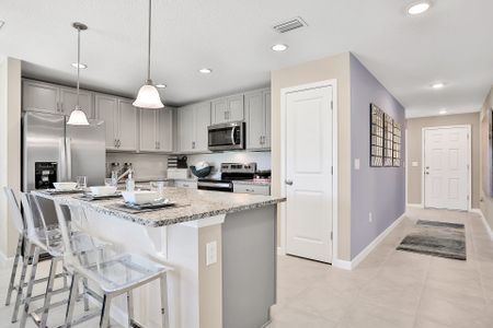 Lakewood Park by Dream Finders Homes in Deland - photo 11 11