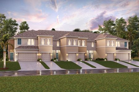 Windermere Estates by M/I Homes in Zephyrhills - photo