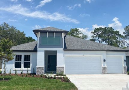 Pinecone Reserve by William Ryan Homes in Brooksville - photo 8 8