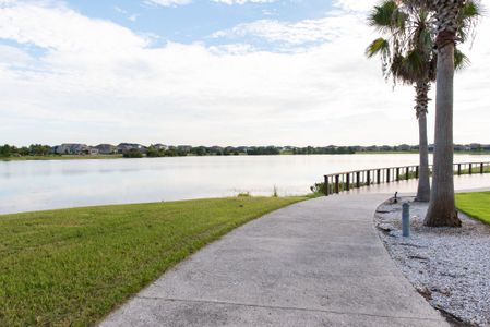 Waterset by Cardel Homes in Apollo Beach - photo 42