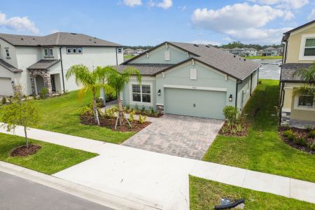 Berry Bay by M/I Homes in Wimauma - photo 29 29
