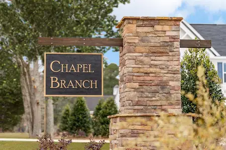 Chapel Branch Villas by Ryan Homes in Santee - photo 30 30