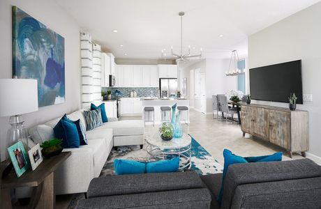 Leela Reserve by Park Square Residential in Tavares - photo 17 17