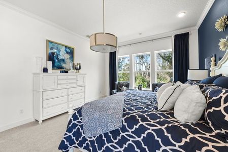 Palm Crest AT Seabrook by Providence Homes (Florida) in Nocatee - photo 67 67