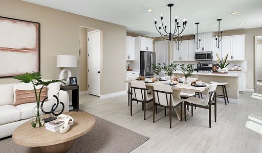 Seasons at Calumet II by Richmond American Homes in Jarrell - photo 68 68