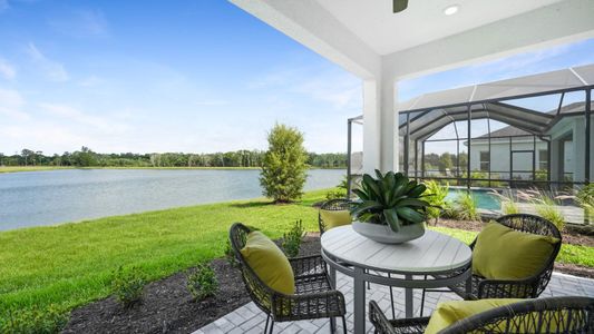 Wildleaf by Neal Signature Homes in Parrish - photo 6 6