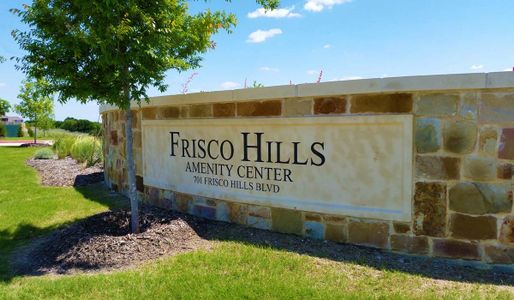 Frisco Hills by Grand Homes in Little Elm - photo