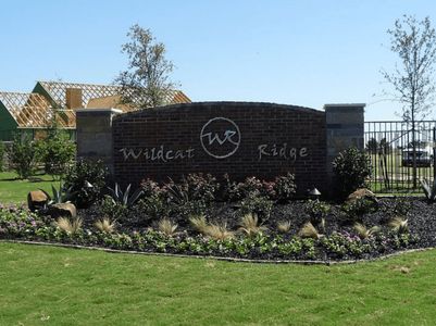 Wildcat Ridge by Premier Homes Inc. in Godley - photo 0