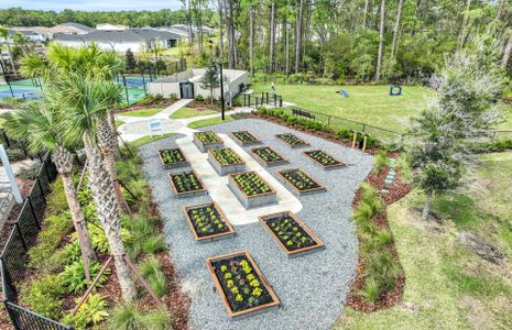 Summer Bay at Grand Oaks by Pulte Homes in Saint Augustine - photo 3 3