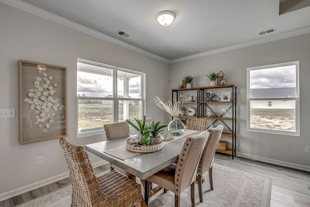 Petterson Meadows by Mungo Homes in Summerville - photo 99 99