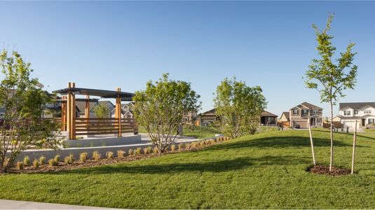 Sky Ranch: Pioneer Collection by Lennar in Watkins - photo