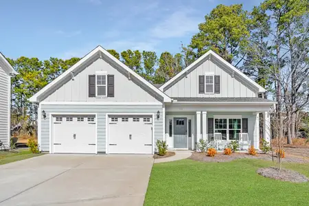 Hewing Farms by Mungo Homes in Summerville - photo 1 1