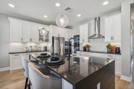 Whispering Oaks Preserve by M/I Homes in Wesley Chapel - photo 14 14