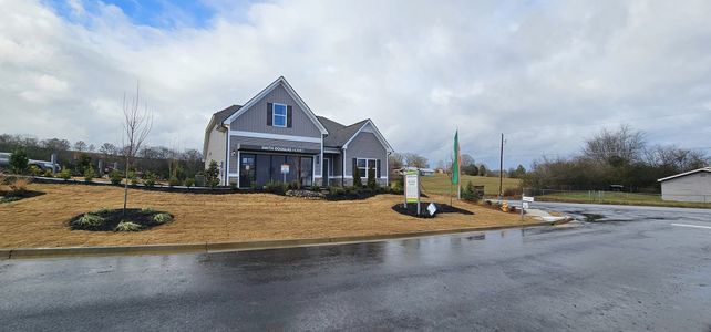Arrington by Smith Douglas Homes in Adairsville - photo