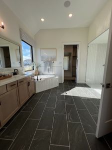 Anthem by Brightland Homes in Kyle - photo 20 20