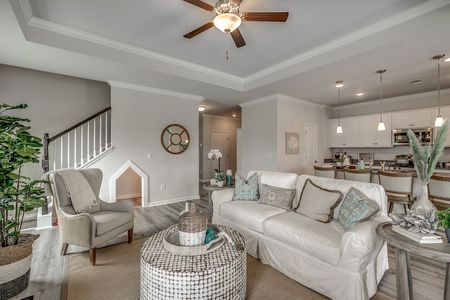 Petterson Meadows by Mungo Homes in Summerville - photo 101 101