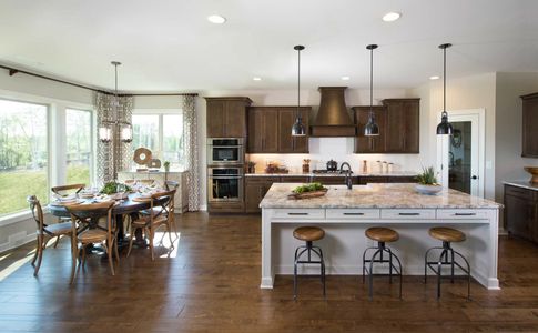 Enclave at Massey by Empire Communities in Fort Mill - photo 15 15