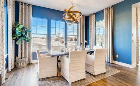 Montaine by Brightland Homes in Castle Rock - photo 10 10