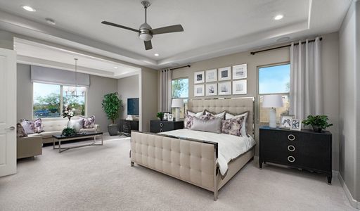 The Preserve at Desert Oasis II by Richmond American Homes in Surprise - photo 21 21