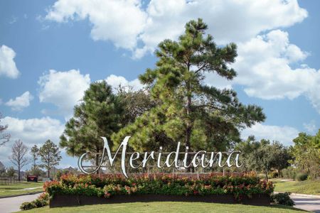 Meridiana: 50ft. lots by Highland Homes in Manvel - photo 13 13