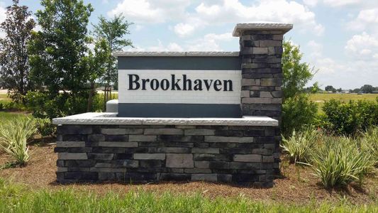 Brookhaven by D.R. Horton in Ocala - photo 22 22