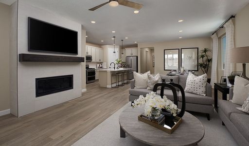 Seasons at Gregg Ranch III by Richmond American Homes in Marble Falls - photo 18 18