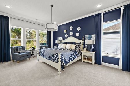 Palm Crest AT Seabrook by Providence Homes (Florida) in Nocatee - photo 64 64