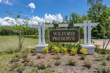 Wilford Preserve by Dream Finders Homes in Orange Park - photo