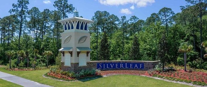 Oak Grove at SilverLeaf 50’ by David Weekley Homes in Saint Augustine - photo