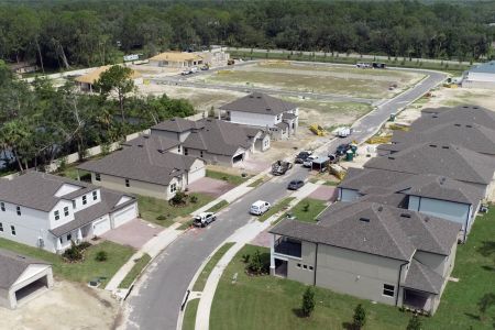 Conestoga Park by M/I Homes in Sanford - photo 3