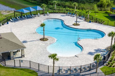 Hammock Reserve by Landsea Homes in Haines City - photo 44 44