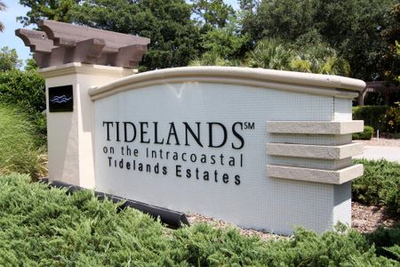 Tidelands by Bellagio Custom Homes in Palm Coast - photo 14 14
