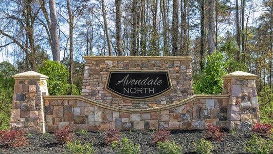 Avondale North by LGI Homes in Conyers - photo