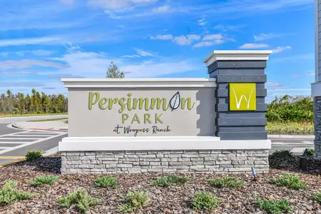 Persimmon Park - Cottage Series by David Weekley Homes in Wesley Chapel - photo 5 5