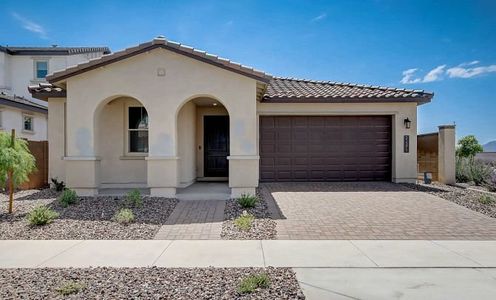 Ascent at Jorde Farms by Shea Homes in Queen Creek - photo 13 13