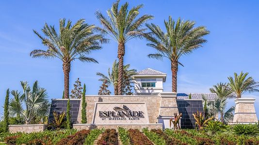 Esplanade at Wiregrass Ranch by Taylor Morrison in Wesley Chapel - photo 14 14