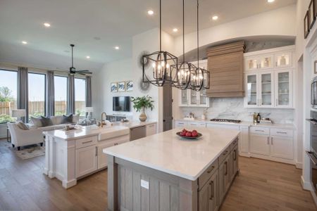 Elyson: 65ft. lots by Highland Homes in Katy - photo 27 27