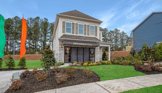 Sawgrass by Smith Douglas Homes in Ball Ground - photo