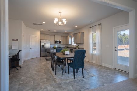 McNeely Farm by Adams Homes in Statesville - photo 8 8